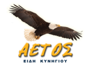 Aetos λογότυπο